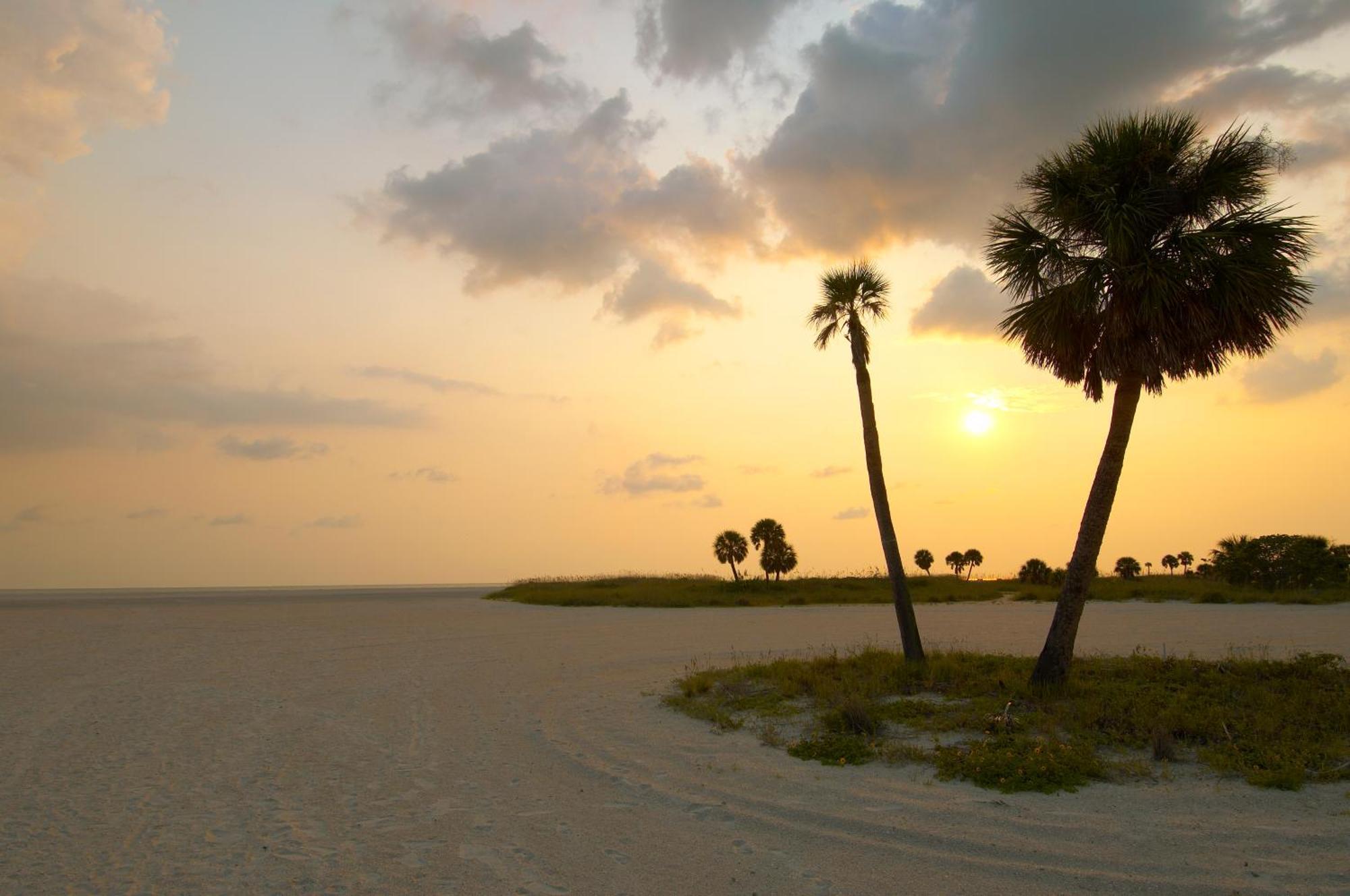 South Beach Oceanfront Resort St. Pete Beach Kültér fotó